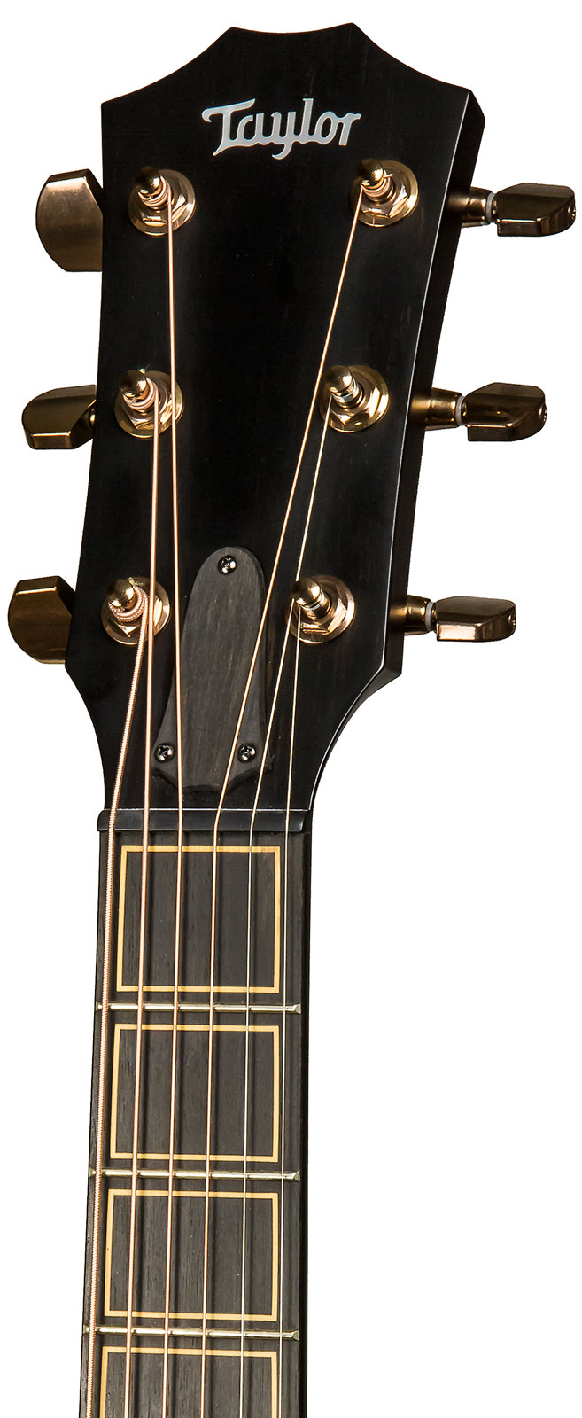 Taylor Custom Ga-e V-class Grand Auditorium Cw Tout Blackwood Eb Es2 #1202180118 - Shaded Edge Burst - Guitare Folk - Variation 4