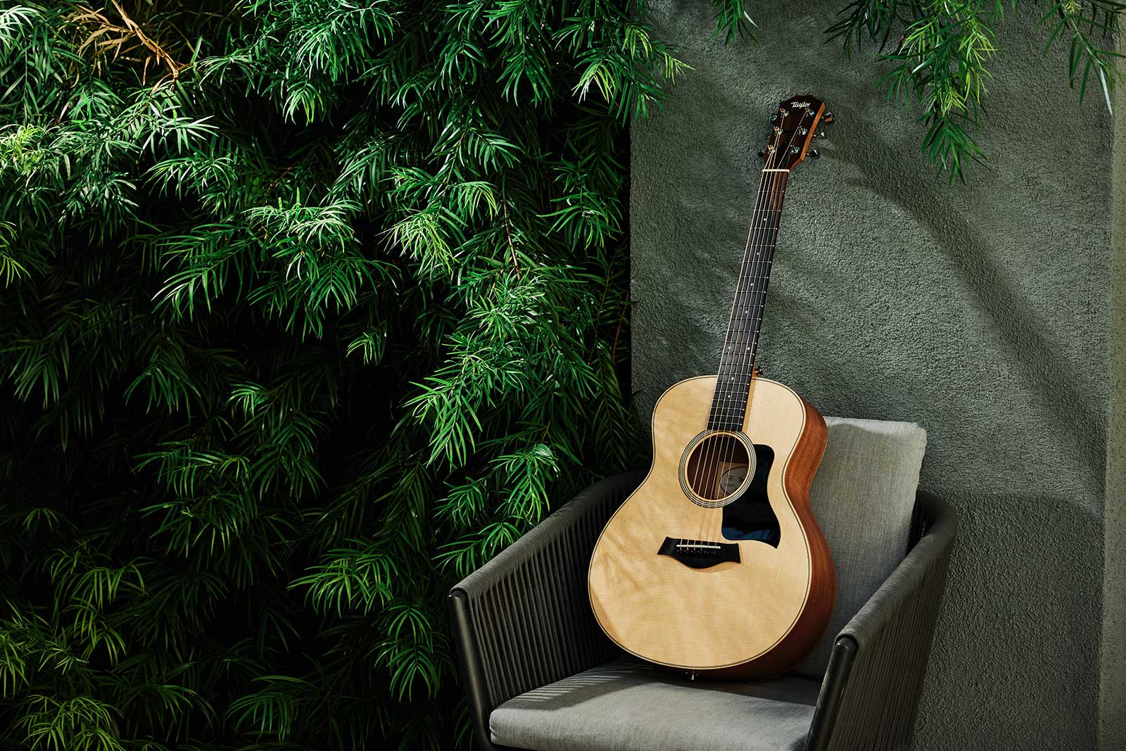 Taylor Gs Mini Sapele 2024 Epicea Sapele Eb - Natural Matte - Guitare Folk De Voyage - Variation 6