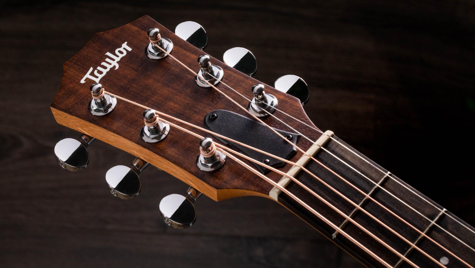 Taylor Gs Mini-e Special Edition Parlor Shsc Epicea Sapele Eb Es-b - Olive - Guitare Folk - Variation 4