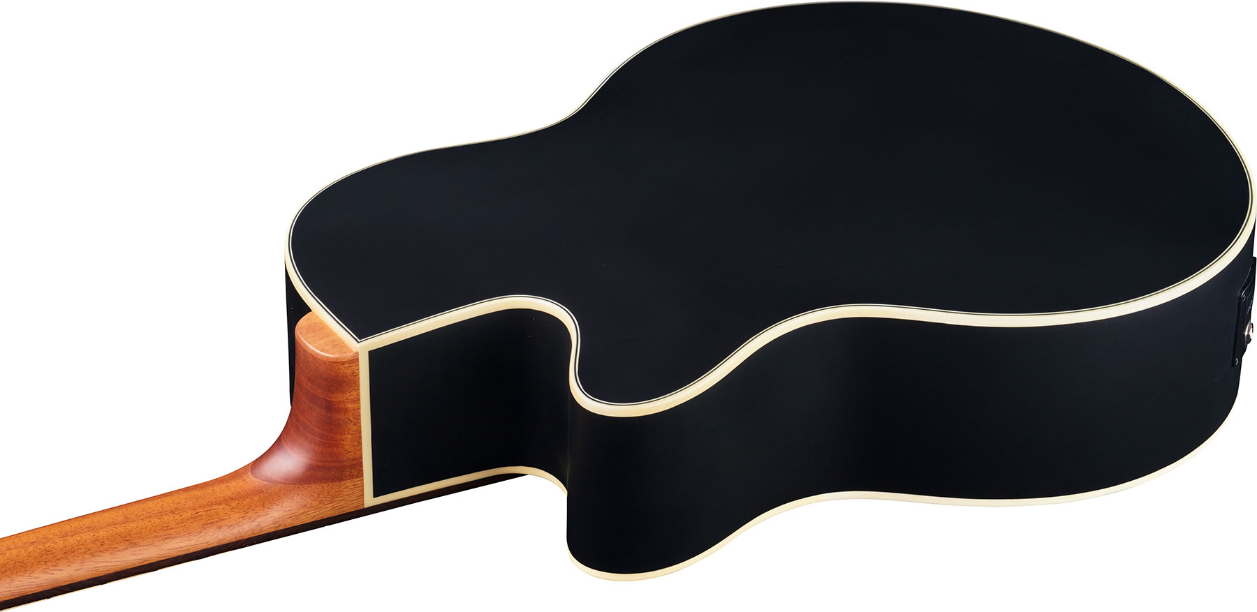 Warwick Basse Acoustique - Electro-acoustique - Basse Acoustique - Variation 3