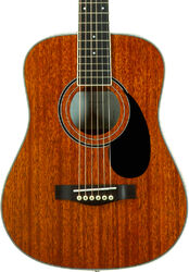 Guitare folk Wesland BG350-NAT - natural