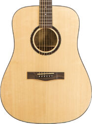 Guitare acoustique Wesland DR1-M - Natural