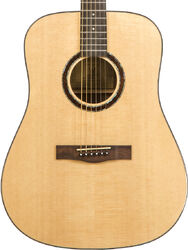 Guitare acoustique Wesland DR1-W - Natural