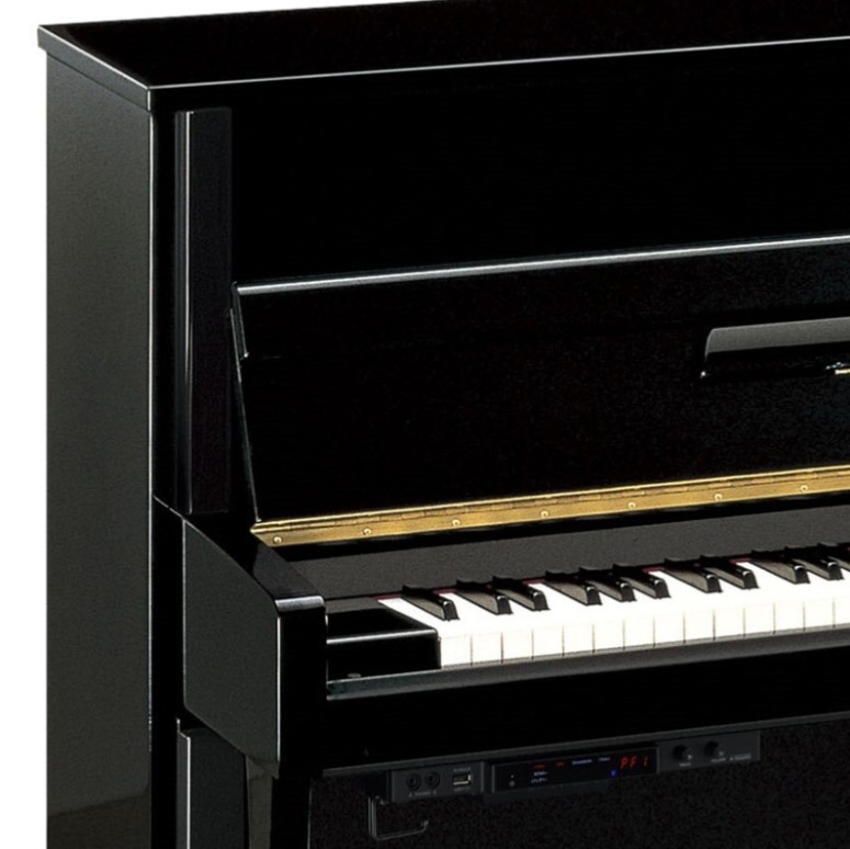 Yamaha B2e Tc3 Pe  Transacoustic - Piano Silent - Variation 1