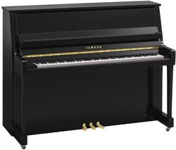 B20 PE