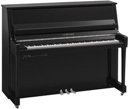B20 PEC TransAcoustic - Chrome
