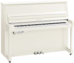 B20 PWHC TransAcoustic - Chrome
