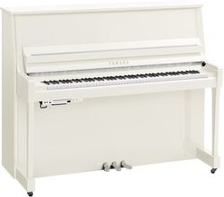 B30 PWHC TransAcoustic - Chrome