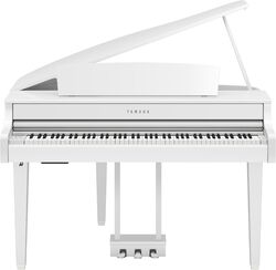 CLP-865GP - polished white