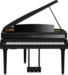 CLP-895GP - polished ebony