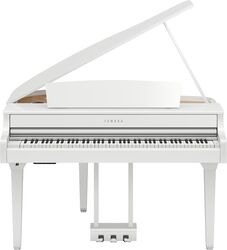 CLP-895GP - polished white