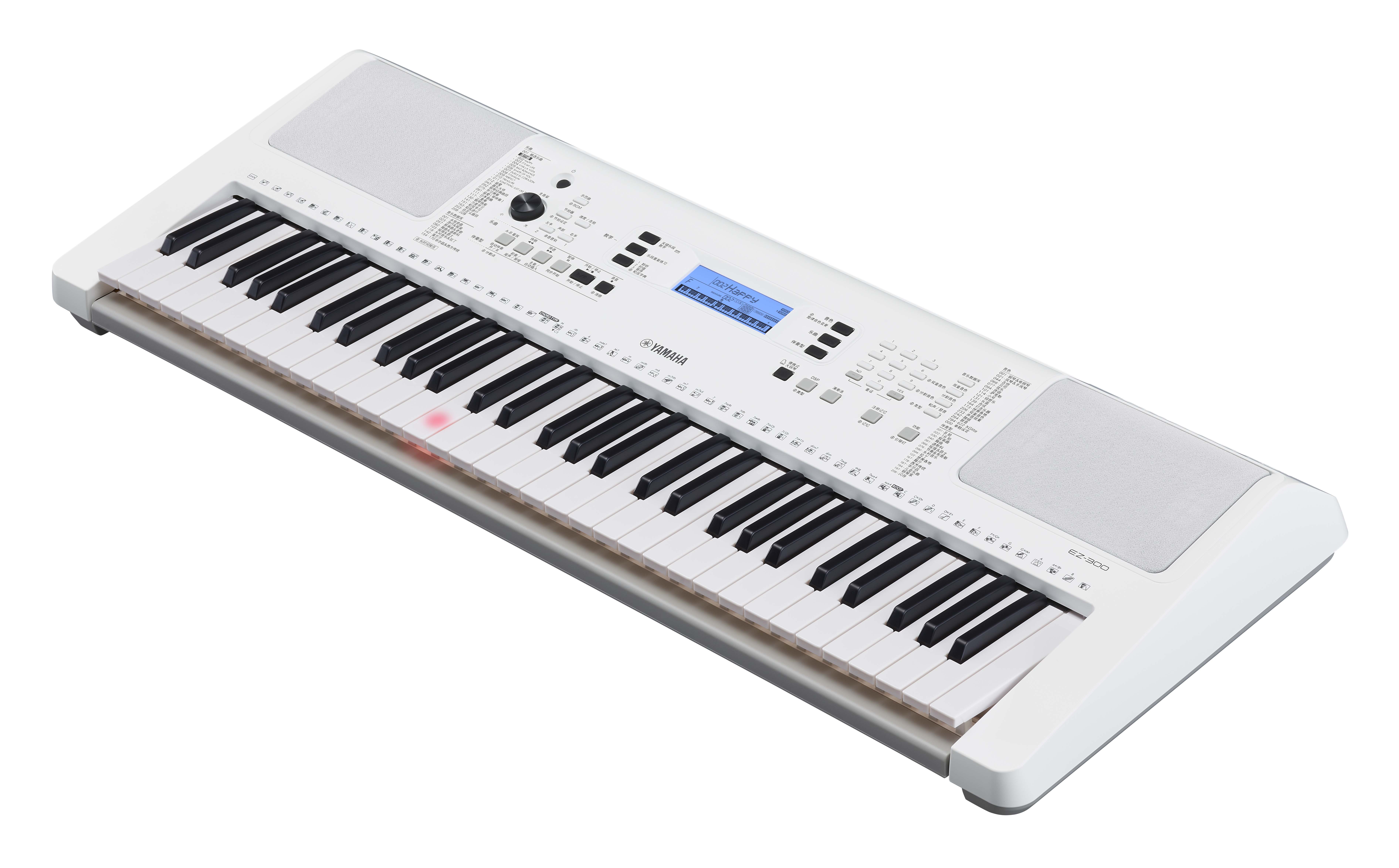 Yamaha Ez 300 - Clavier Arrangeur - Variation 3